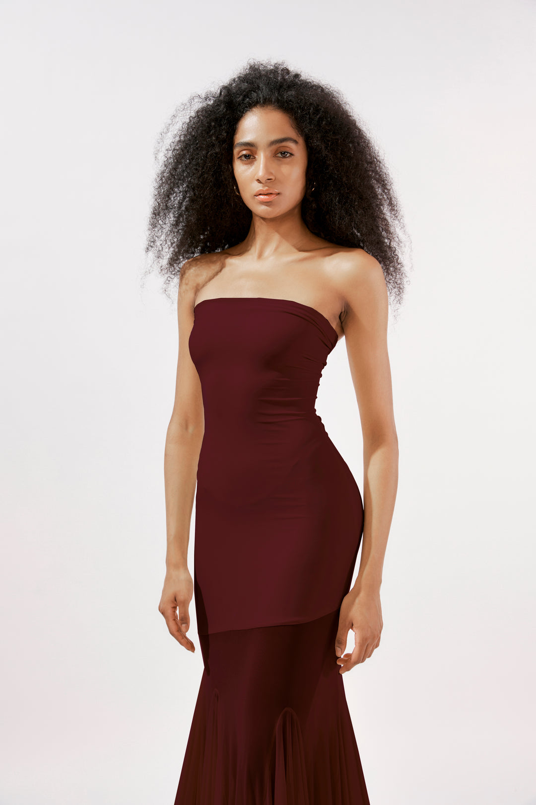 Dahlia - Burgundy