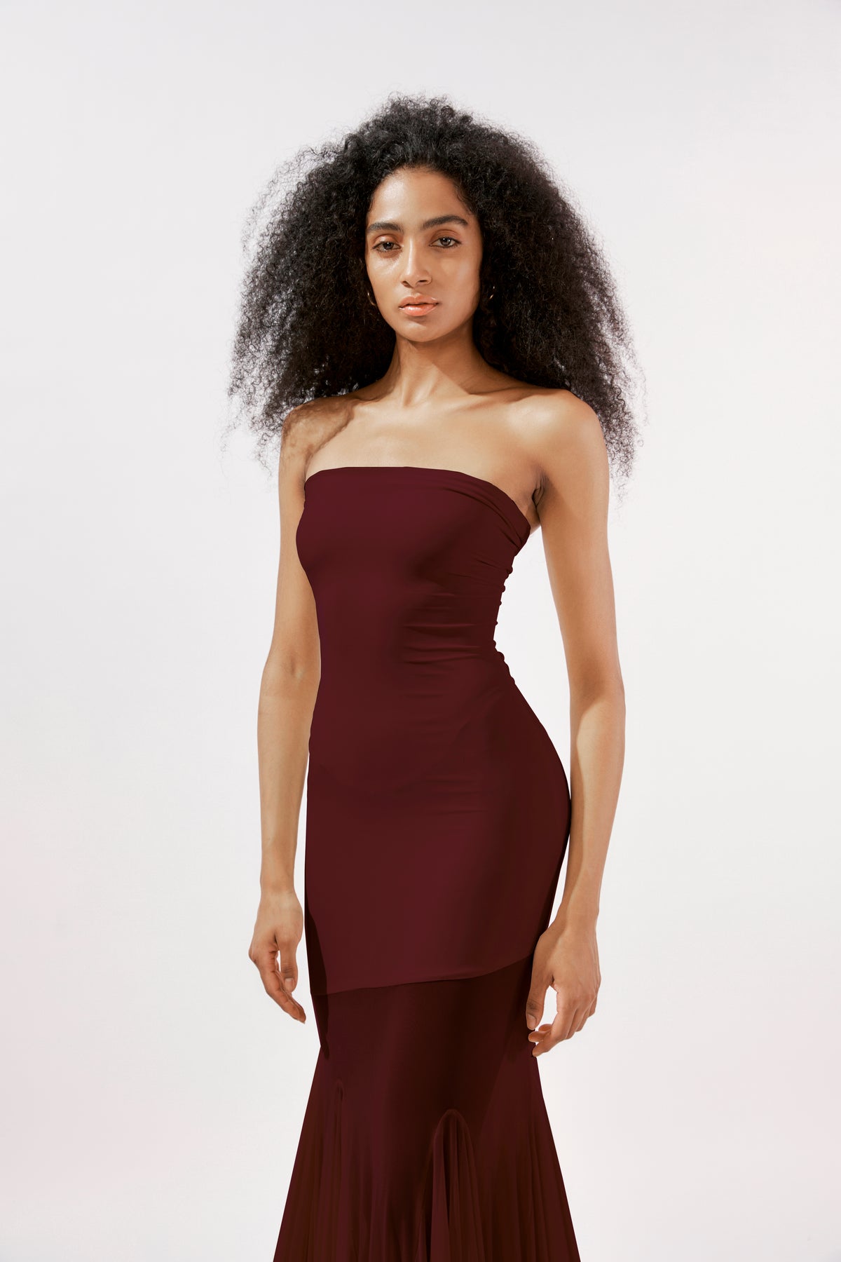 Dahlia - Burgundy