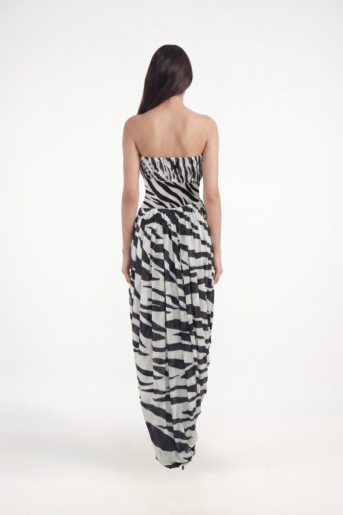 Erin - Zebra
