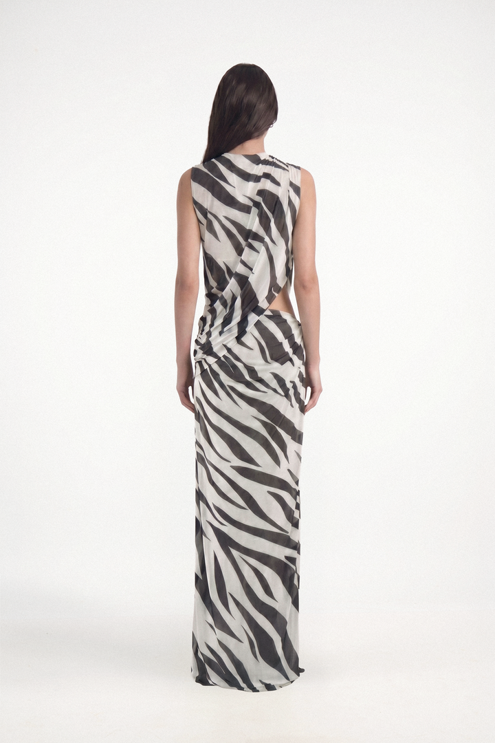 Spencer - Zebra
