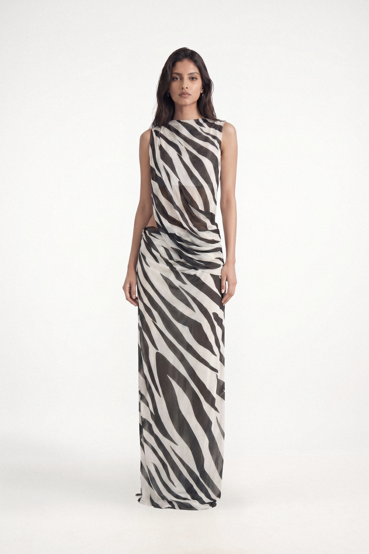Spencer - Zebra